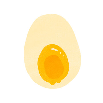 手描きの煮卵のイラスト