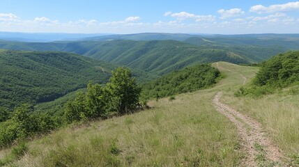 Mountain vista, grassy hill, winding path