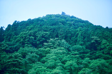 小さきもののための、優しい光.