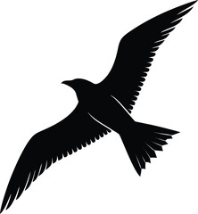 Eagle Flying Silhouette