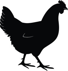 Hen Silhouette - Vector