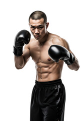Focused Asian boxer in striking pose wearing black gloves, ready for intense action