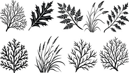 Silhouette Set of   Plants and Leafs