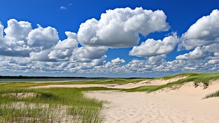 Sandy beach path under a vast blue sky with cumulus clouds
