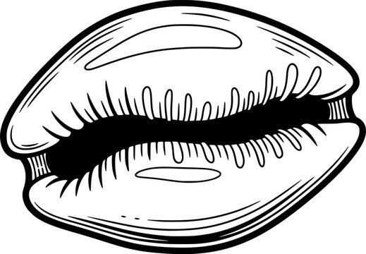 Cowrie shell icon with smooth oval shape, hand-drawn style