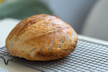 Round loaf of sourdough bread rests on a cooling rack. The crust is golden brown and crisp, while the interior remains soft.