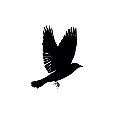 Obraz premium Clean and modern vector flying bird silhouette vector illustration for ornithology and wildlife design projects and avian themed graphics use