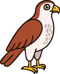 Cartoon illustration of a hawk standing, showcasing brown and white plumage, with yellow beak and feet.