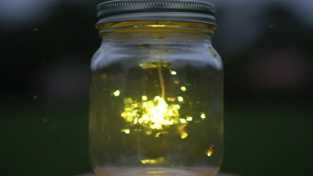 A magical cluster of glowing fireflies, or lightning bugs, captured within a transparent glass jar, their bright bioluminescent light flickering against a dark summer night background.