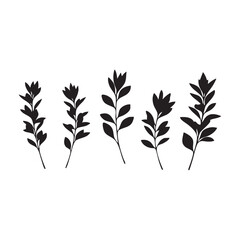 Fototapeta premium Black silhouette of five leafy branches isolated on white background silhouette