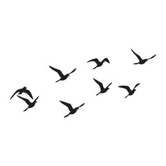 Flock of birds flying in formation silhouette isolated on white background