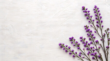 Fototapeta premium Minimalist flat lay of delicate purple wildflowers arranged on a clean white background, this botanical composition blends simplicity and elegance in a soft seasonal floral display