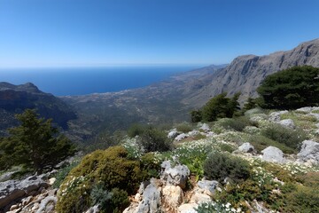 Tranquil Mountain Vista Above the Azure Sea