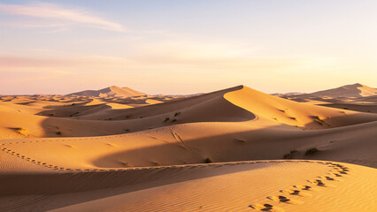 Majestic Sands: The Beauty of Desert Dunes