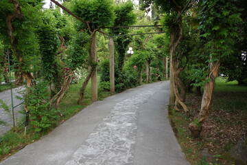alley in the park