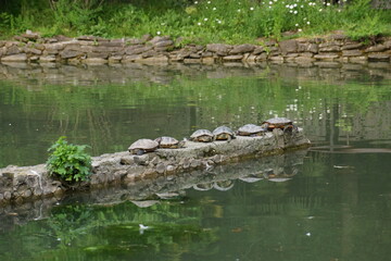 park view lake