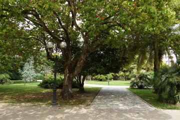 path in the park