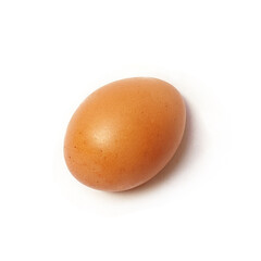 egg isolated on white background