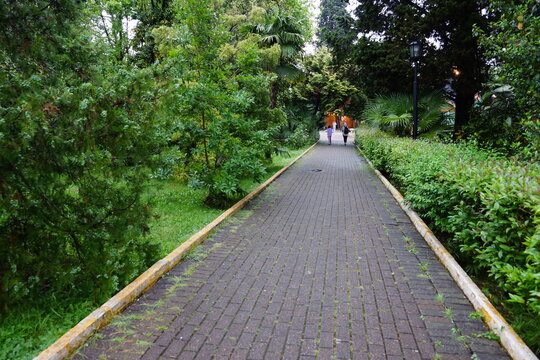 walking in the park