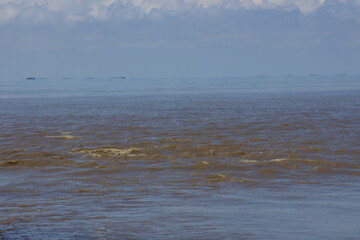 Obraz premium seagulls on the beach