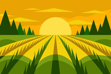 rice field sun casting mystical shadows