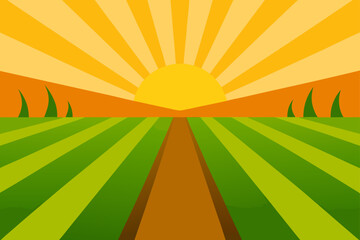 rice field sunrise golden beams
