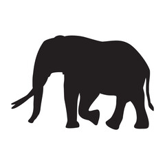elephant silhouette