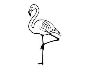 Silhouette of a flamingo standing on one leg, clean vector lines