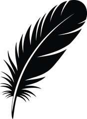 Obraz premium Vector art of a delicate feather isolated on a white background