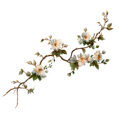 White Blooming Vine with Green Leaves on a Decorative Branch