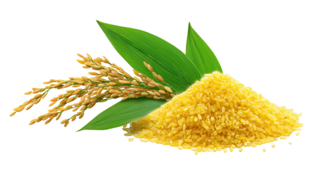 Golden rice grains and stalk with green leaves isolated on a transparent background food agriculture - Powered by Adobe