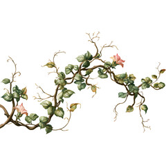 Long Curved Branch with Ivy Leaves and Pale Pink Flowers for Design Decor