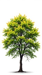 Obraz premium A clean and minimalist digital illustration of an isolated tree on a white background, set against a contrasting white backdrop