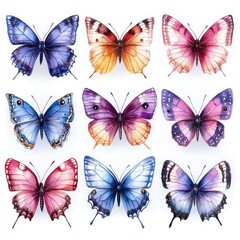 Collection of nine colorful watercolor butterflies with various blue, purple, pink, and orange shades arranged in a 3x3 grid on a white background