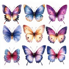 Nine colorful watercolor butterflies with detailed patterns and symmetrical wings arranged in a 3x3 grid on a white background