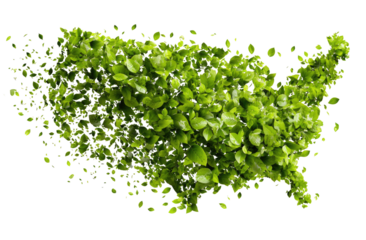 USA map composed of numerous small, vibrant green leaves.  The leaves densely cover the outline of the country, creating a lush, healthy, and natural image