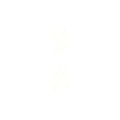 Glossy white symmetrical energy burst shape on transparent background
