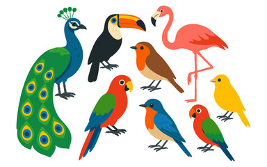 Vector art of a delightful collection of diverse birds, including a peacock, toucan, flamingo, parrots, robin, bluebird, and yellowbird isolated on transparent background
