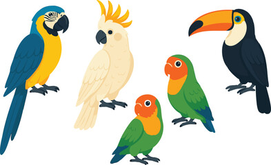 Vector art of a charming group of exotic birds, including macaws, a cockatoo, lovebirds, and a toucan, isolated on a transparent background