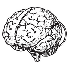 Fototapeta premium Intricate Hand-Drawn Human Brain Anatomy for Medical Art