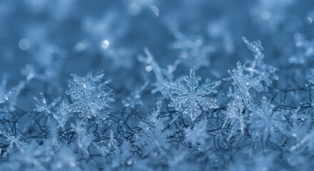 Delicate snowflakes capturing the magic of winter season and ephemeral beauty