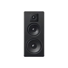 Fototapeta premium Black audio speaker, two large drivers