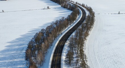Fototapeta premium Winter Landscape of a Winding Road Surrounded by Snow and Trees Aerial View Serene Cold Weather Transportation Route