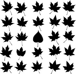 A collection of various leaf silhouettes, primarily maple leaves, arranged in a grid pattern on a white background, with one distinct heart-shaped leaf.