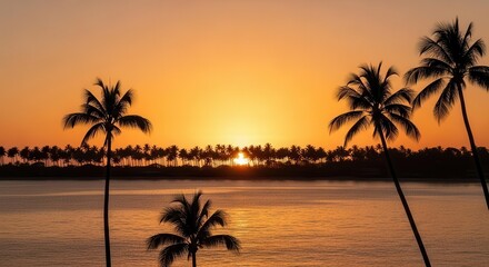 Serene Sunset Over Tropical Beach with Palm Trees and Calm Water
