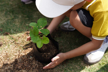 The hands of a small child taking soil to plant plants in polybags during the day