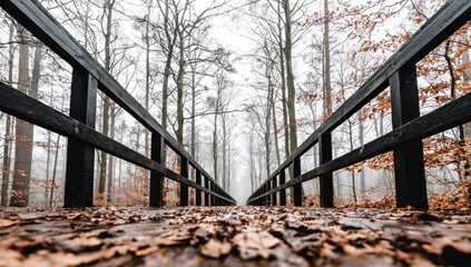 Low-angle view of a wooden bridge extending into a misty forest. Brown leaves cover the bridge and surrounding forest floor. Tall, leafless trees reach into a cloudy sky