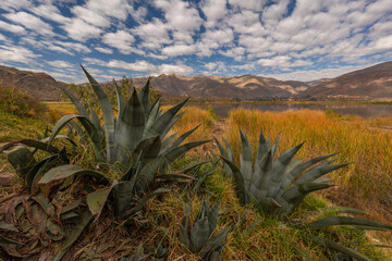 a beautiful view of the Peruvian mountains with the dramatic skies of Peru