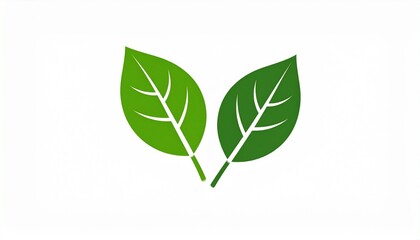 Fototapeta premium Eco-friendly leaf icon. Two stylized green leaves representing nature and freshness vector illustration. Organic growth and environmental symbol. Sustainability and natural sign. High quality. 