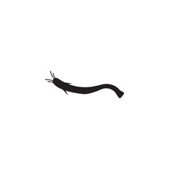 Obraz premium catfish icon